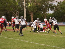 Enlarge photo 590