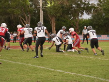 Enlarge photo 591