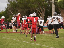 Enlarge photo 594