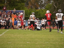 Enlarge photo 625