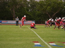 Enlarge photo 715