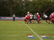 Enlarge photo 723