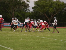 Enlarge photo 731