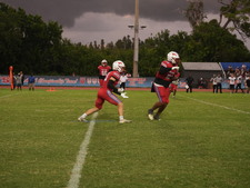 Enlarge photo 780