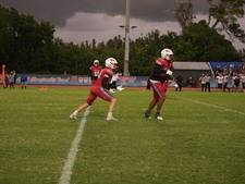 Enlarge photo 782