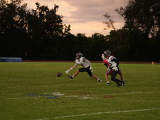 Enlarge photo 810