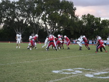 Enlarge photo 61