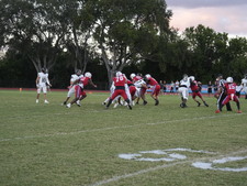 Enlarge photo 62