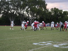 Enlarge photo 65