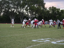 Enlarge photo 64