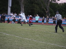 Enlarge photo 108