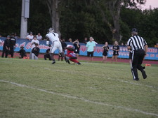 Enlarge photo 111
