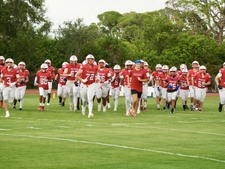 Enlarge photo 111