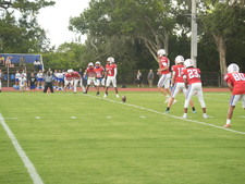 Enlarge photo 159