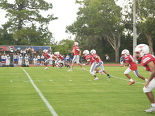 Enlarge photo 177
