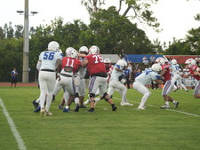 Enlarge photo 193
