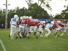 Enlarge photo 194