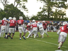 Enlarge photo 195