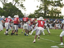 Enlarge photo 198