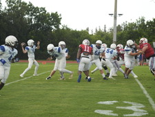Enlarge photo 232