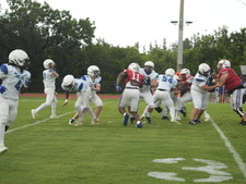 Enlarge photo 234