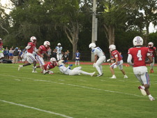 Enlarge photo 235