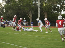 Enlarge photo 236