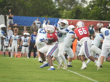 Enlarge photo 248