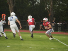 Enlarge photo 337