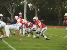 Enlarge photo 392