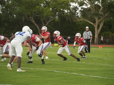 Enlarge photo 435