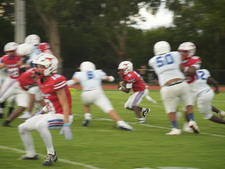 Enlarge photo 437