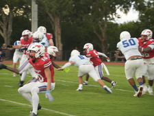 Enlarge photo 438