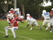 Enlarge photo 439