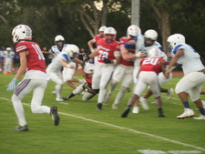 Enlarge photo 444