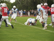 Enlarge photo 445
