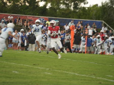 Enlarge photo 478