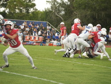Enlarge photo 487