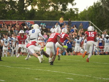 Enlarge photo 584