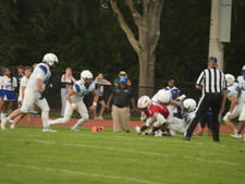 Enlarge photo 621
