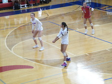Enlarge photo 152