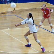 Enlarge photo 218