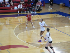 Enlarge photo 247