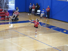 Enlarge photo 259