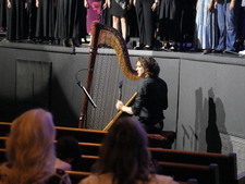 Enlarge photo 238