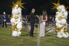 Enlarge photo 315