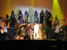 Enlarge photo 258