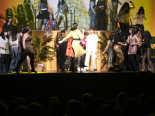 Enlarge photo 330