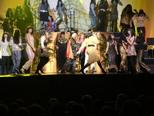 Enlarge photo 333
