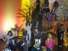 Enlarge photo 347